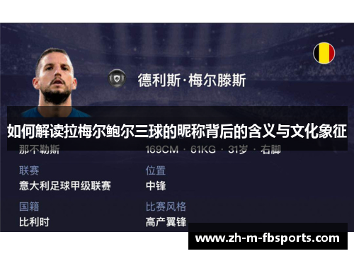 如何解读拉梅尔鲍尔三球的昵称背后的含义与文化象征