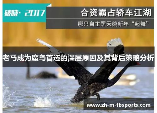 老马成为魔鸟首选的深层原因及其背后策略分析