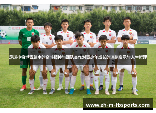 足球小将世青篇中的奋斗精神与团队合作对青少年成长的深刻启示与人生哲理