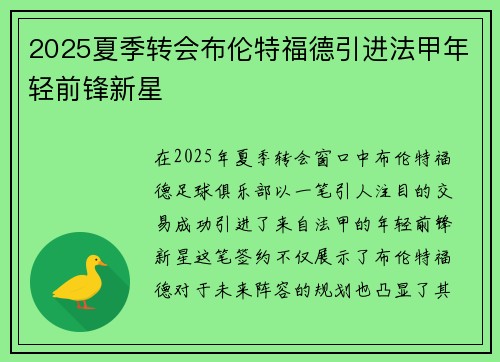 2025夏季转会布伦特福德引进法甲年轻前锋新星 2025夏季转会布伦特福德引进法甲年轻前锋新星